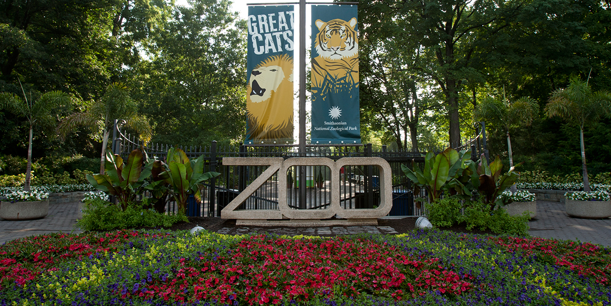 Building & Designs for a D.C. Oasis: An Architectural Tour of the National Zoo